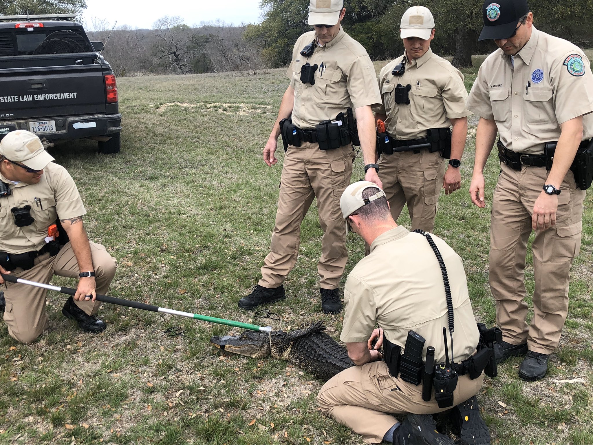 Texas Game Warden on Twitter: "Cadets of the 63rd Academy receiving hands  on training and safe handling of nuisance alligators. #63rd #GatorDay  #TameTheGator https://t.co/4akxhgRTnc" / Twitter