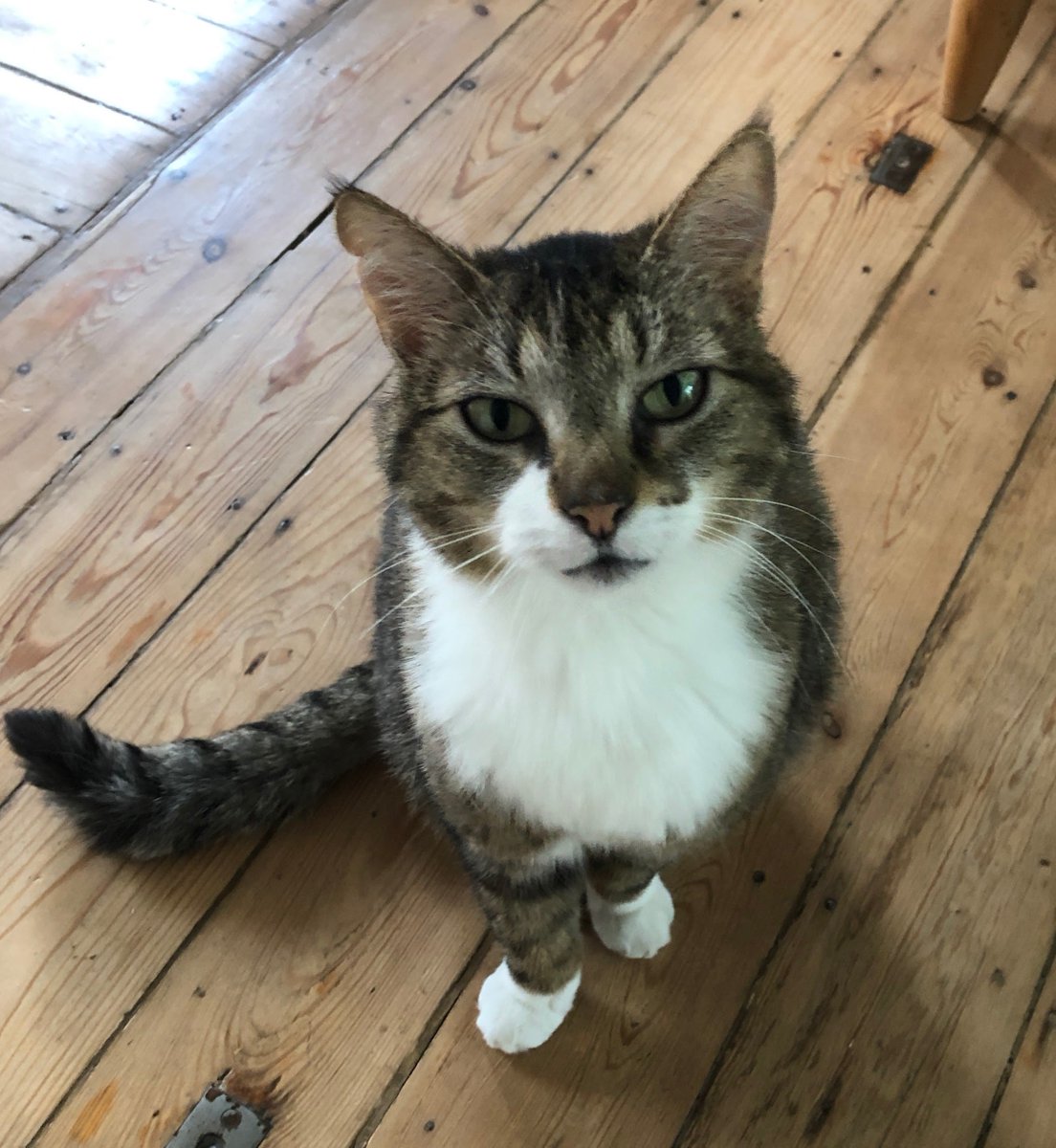 I am going to #CATCH the #Coranavirus !  

That way it will not cause any more problems for:
#Skiforce
#LD20 London’s Calling
#DreamOle 
#CzechDreamin
#YeurDreamin #YD20
#FrenchTouchDreamin’
#DreamForce
#MidWestDreamin
#TexasDreamin
#SouthFloridaDreamin