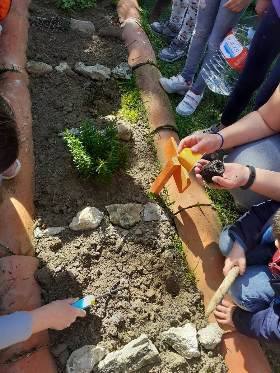 GemaCra's tweet photo. Los miércoles cambiamos el aula de #aprendizaje. Aprendemos en el #semillero y en el #huertoescolar.@Inma48120381 nos transmite todos sus conocimientos de #EdAmbiental. #gracias #huerto #miercolesdiferentes #salimosdelaula @educacyl https://t.co/EzTopFB7R8