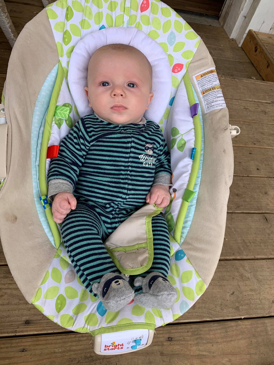 kiralane14's tweet photo. I’m not the only one loving this spring weather 🥰 https://t.co/BAIjq5bmkY