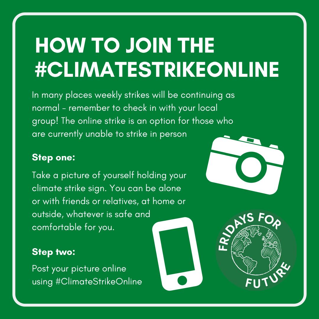 FFFireland's tweet photo. As schools close around Ireland, many strikes will be moving online for safety reasons. 

Here is how you can join the #ClimateStrikeOnline this Friday:
1. Take a picture with a sign
2. Post your picture online
3. Tag us, and other #FridaysForFuture accounts
4. Spread the word! https://t.co/GZw0hEoJpd