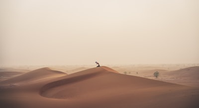 Consciously_CM's tweet photo. Photo By Federico Gutierrez | Unsplash - via @Crowdfire  
 #yogagirl #yogaeverywhere #yogaeveryday #yogapose #yogapractice https://t.co/XpaZBPUcLd