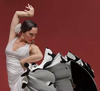 Finally, Flamenco Festival is postponed until next fall. Now our priority is to keep everyone safe and healthy and we don’t want to take any risks. More info...
facebook.com/FLAMENCOFESTIV…