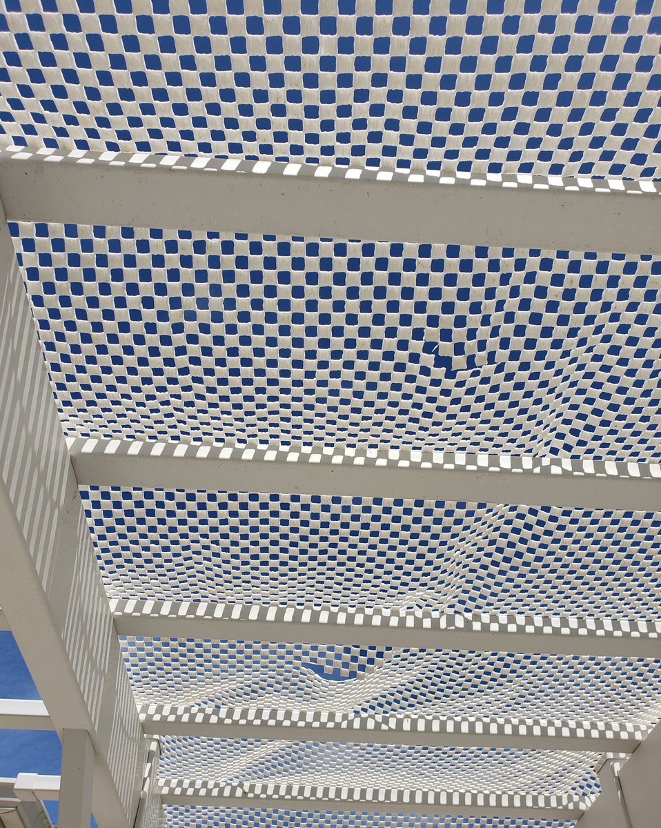 ConnieYurkus's tweet image. For the tops of the arbors, I&apos;ve added more &quot;rug pad&quot;. It allows the perfect amount of sunlight for the Vandas.  #orchids #OrchidArbors #OrchidExerciseProgram