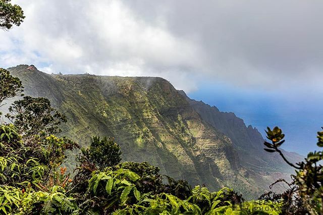 LeeGPhoto's tweet photo. Break in the Clouds.

#hawaii #kauai #igershi #ighawaii #travelphotography #igersnh #ignewengland #photography #kauaihawaii #kauaiadventures #kauailove #kauailife #kauaiweddingphotographer #kauaiisland #kauaibeauty #visitkauai #napalicoast #alakiaswamp #… https://t.co/pECTvIk5hQ https://t.co/RKzaRAB07H