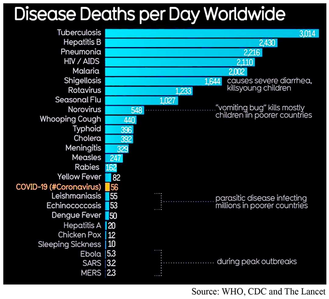 4. Average deaths per day from diseases worldwide. 
