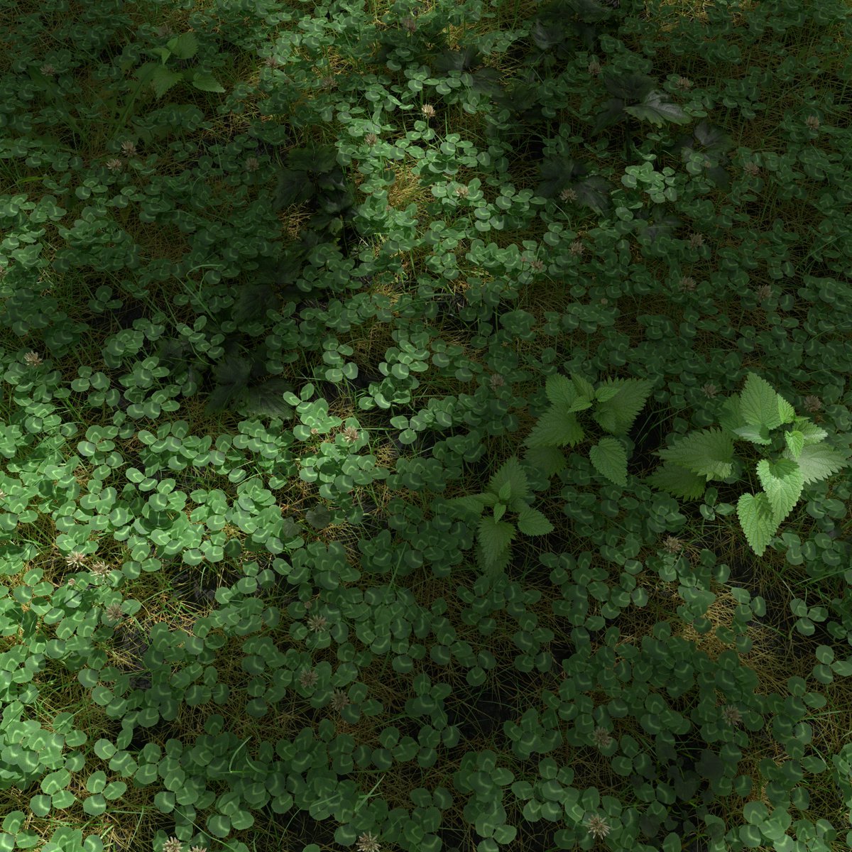 meshtraders's tweet photo. Clover Meadow Patch 3d asset by Kamil Burniak with #Blender and #Cycles available for sell at https://t.co/CGK36kwbcK

#3d #meshtraders #gameart #lowpoly #environment #nature #vegetation #tree #grass #flower #Leaves #ground #green #jungle #Plant #Meadow #Dry #gamedev #forest https://t.co/hEY2LDMpBf