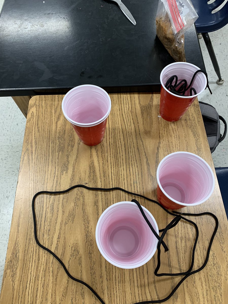BannermanAlicia's tweet photo. PHS Science! They did a great job designing and making revisions for their planters. https://t.co/DHbps59fU6