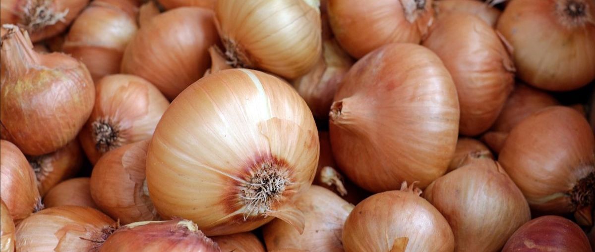 Our March newsletter is out now - mailchi.mp/892621c0cb94/m…