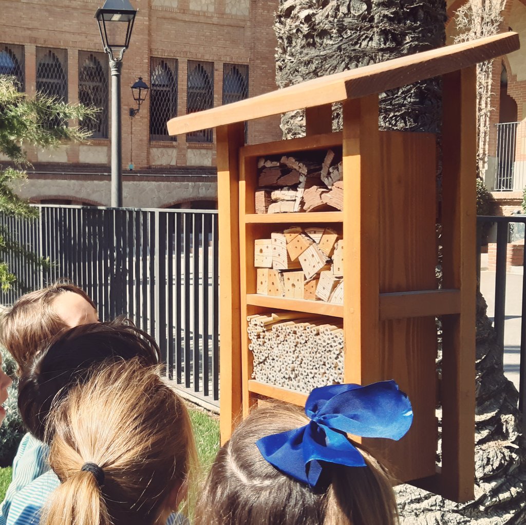 mar_caste's tweet photo. Abans de marxar hem anat al pati de l'escola @FET_Ganduxer a veure l'hotel d'insectes. Molt interessant aprendre tot el que passa dins! Esperem que durant aquests dies s'ompli d'animalons. Ara #totsacasa #portemnosbé #responsabilitatciutadana #beeascientistenpausa https://t.co/bVhYwXdqWs