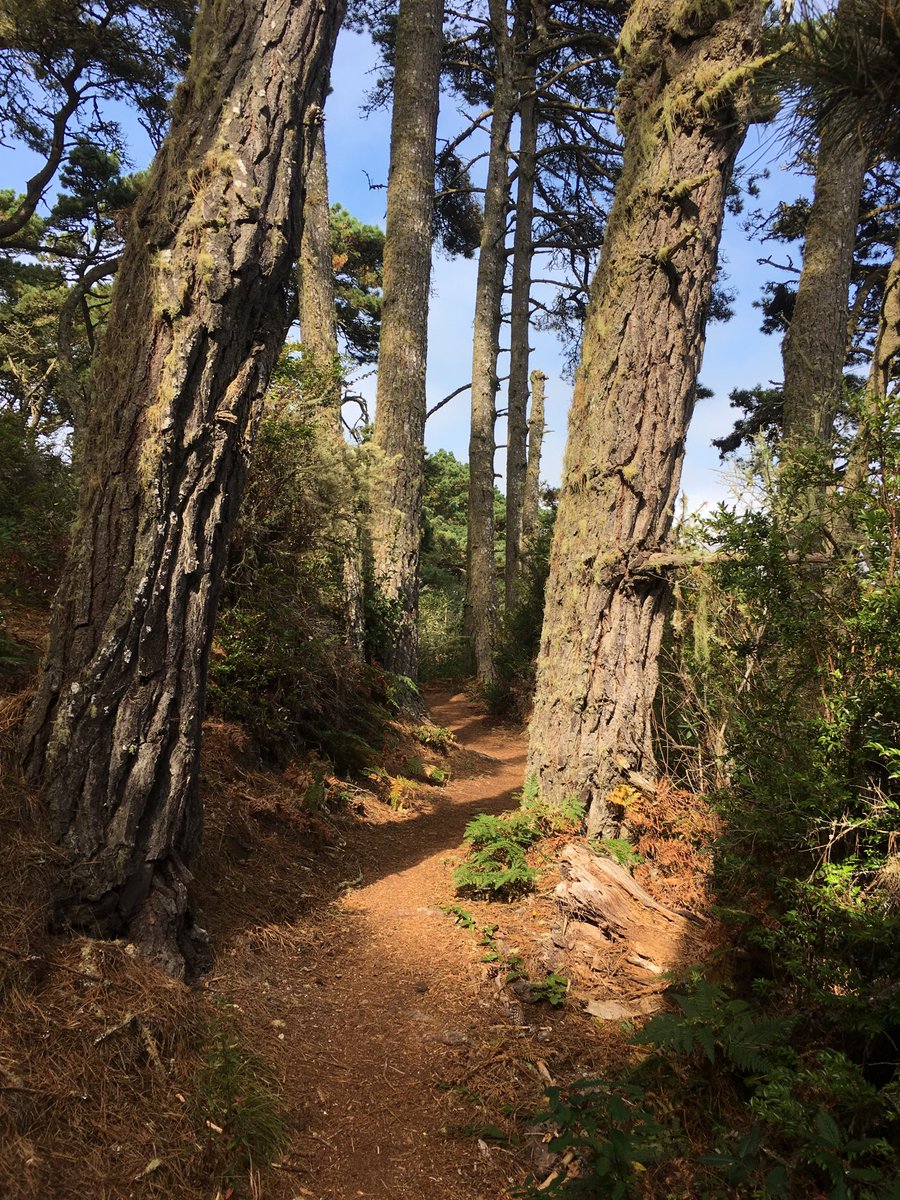 Jacky Davis tweet media