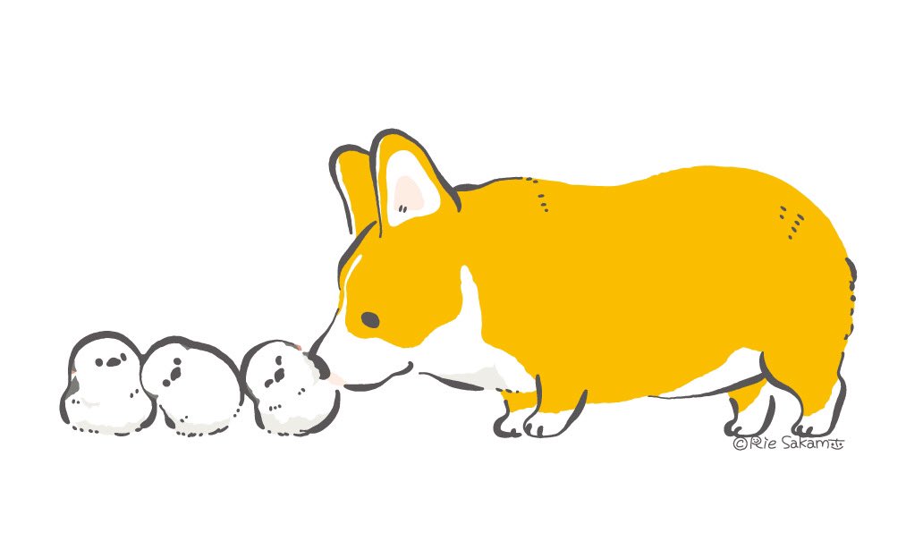 サカモトリエ イラストレーター در توییتر コーギーとシマエナガのトリノ倒し 1 7 Corgi コーギー シマエナガ イラスト