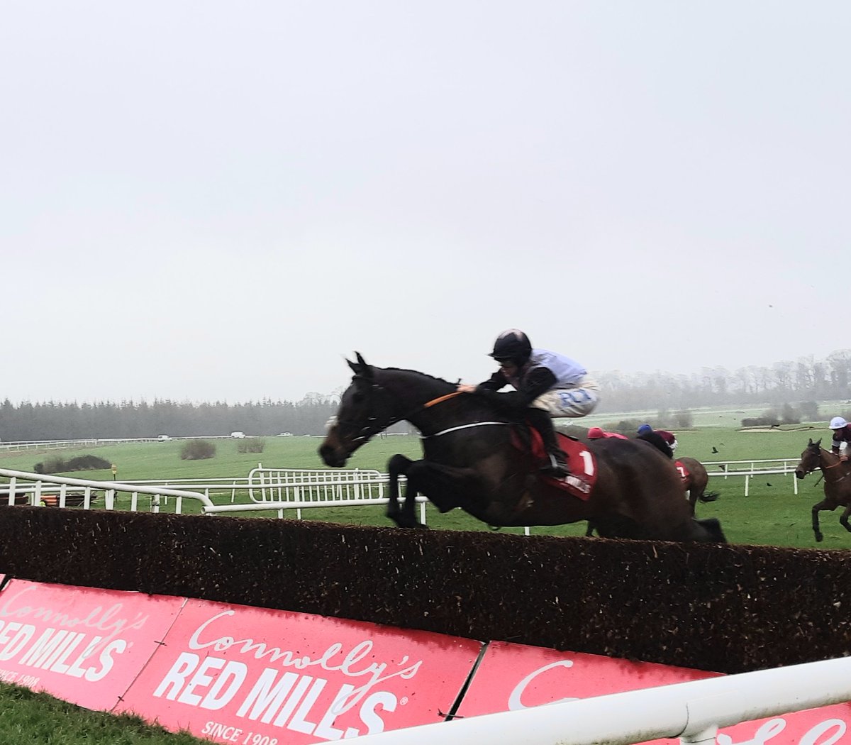 GowranPark1's tweet photo. The last two winners of the @REDMILLSHorse Chase #Monalee 2019 & Chris's Dream '20 set to line up in the Magners #GoldCup plus Presenting Percy who finished second in 2018 in that memorable finish with Our Duke
#TheFestival https://t.co/s7dEgWZbUX