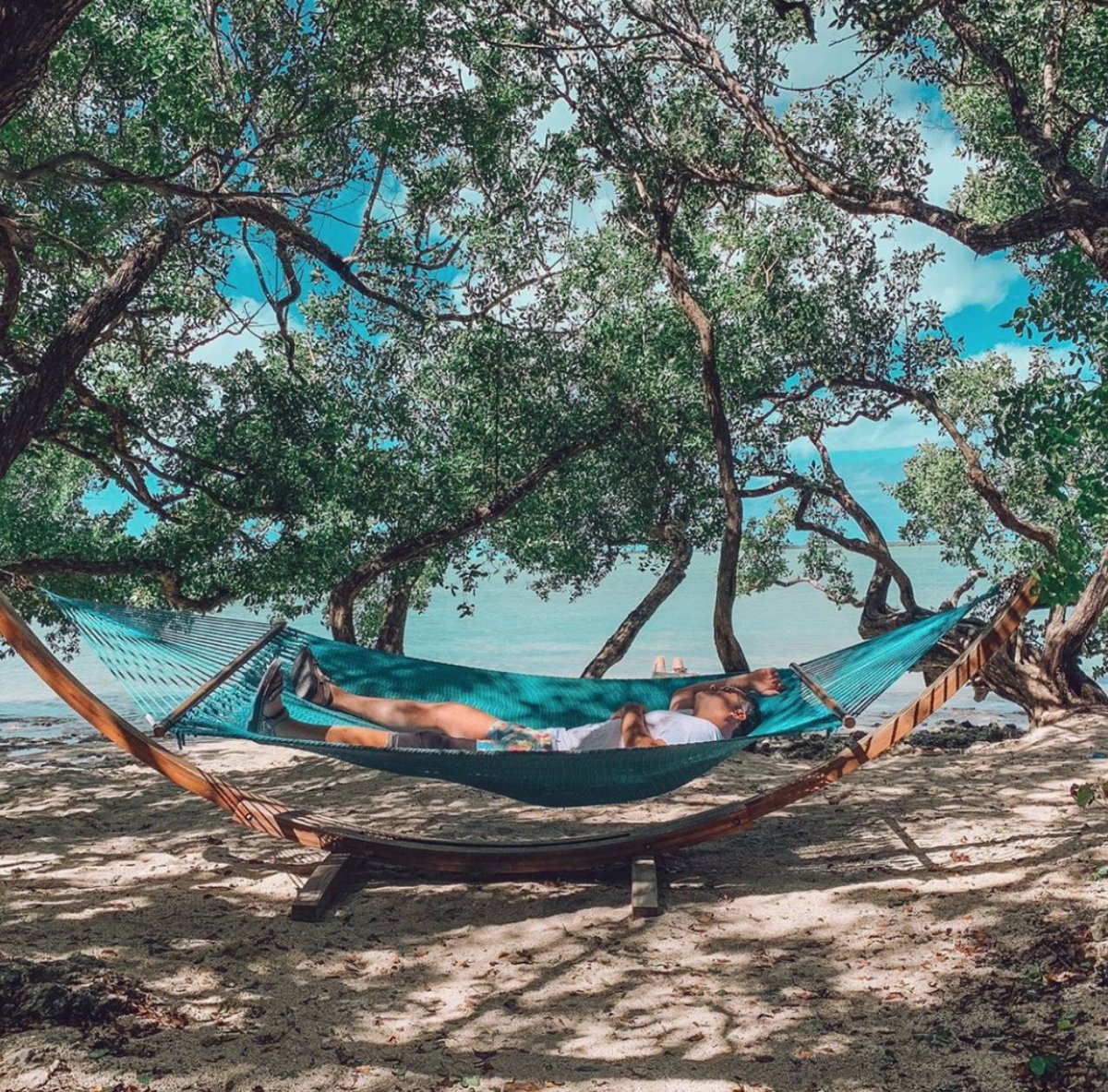 bakerscayresort's tweet photo. In need of a new vibe stat? An easy 1-hour drive from Miami, you too can have drink in hand, toes in sand in no time.  Discover #paradise in your own backyard!  

Book you next #staycation Baker’s Cay Resort now!  #AtTheCay #KeyLargo https://t.co/MJG27kManj