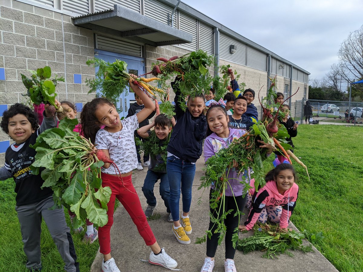 VGarcia_McBee's tweet photo. Weeding and harvesting is our favorite ♥️#whymcbee @ElementaryMcbee https://t.co/CB7GfnZVki