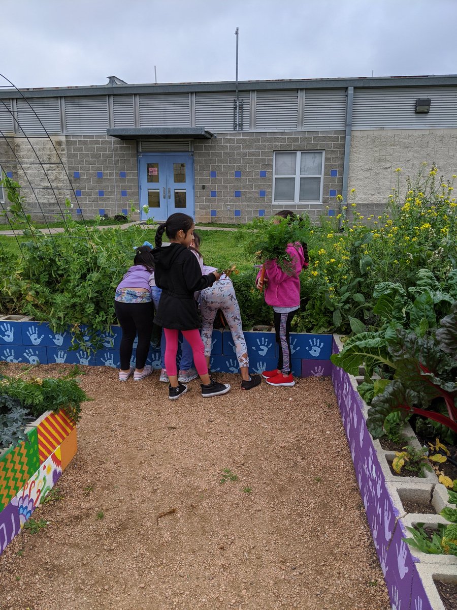 VGarcia_McBee's tweet photo. Weeding and harvesting is our favorite ♥️#whymcbee @ElementaryMcbee https://t.co/CB7GfnZVki
