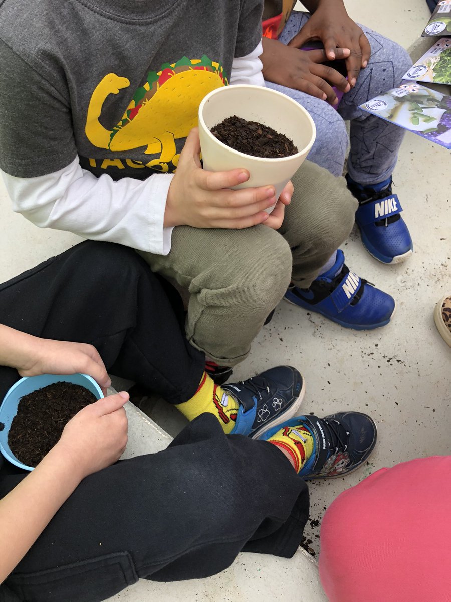 Preschoolers planting a garden in the library courtyard ... so sweet <a href="/Stonerobelem/">Stone-Robinson Elem.</a> @msg227b <a href="/astokes88/">Angela Stokes</a> <a href="/k12albemarle/">AlbemarleCountySchls</a>