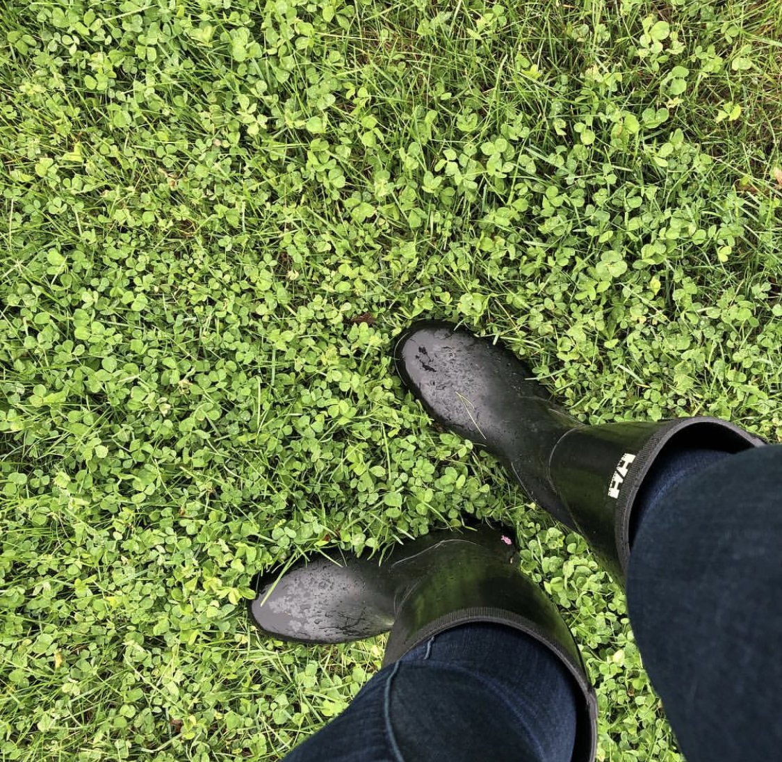 St. Paddy's Day Special 🍀 - mailchi.mp/clearwateroutd…