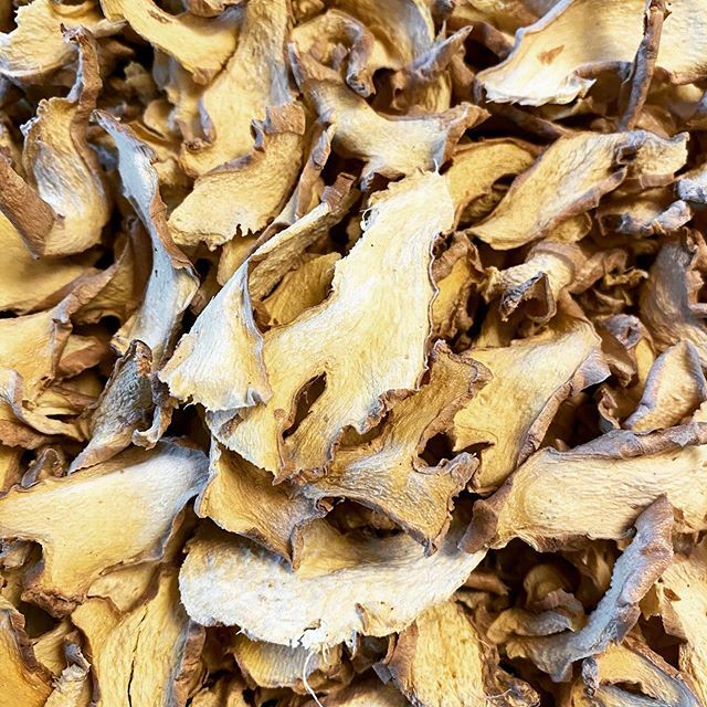 voce_tea's tweet photo. MEET THE INGREDIENT: GINGER We at Voće Tea pride ourselves in the quality of our ingredients. Take our ginger, for example. Early in the life of our company, we discovered that commercially available ginger simply didn’t make the grade. It was cut too sm… https://t.co/lqoZXHLkay https://t.co/0oS7kJJEtk