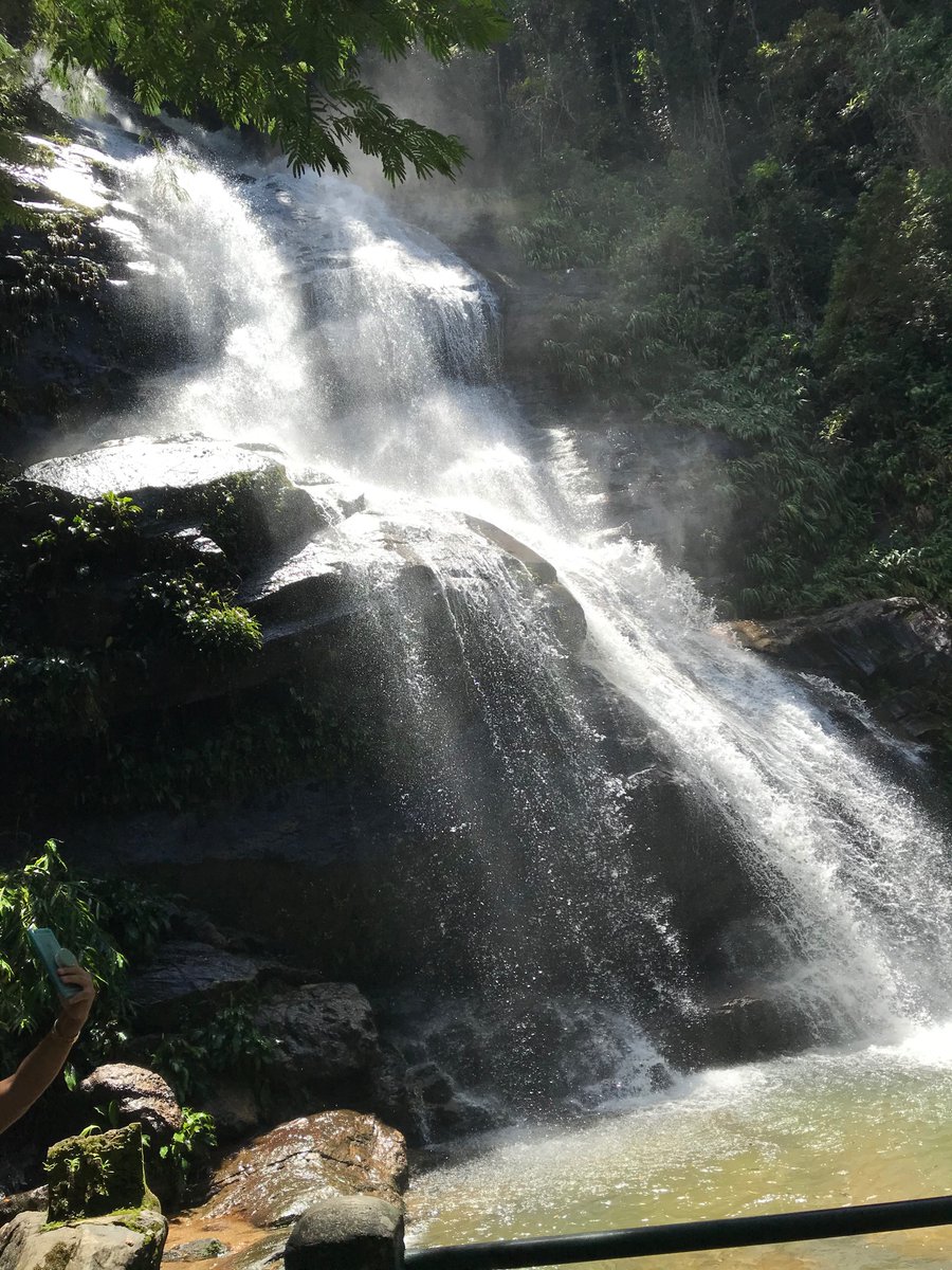 bcdokrt22's tweet photo. Sobre hoje 😻🙌🏻🌺🌳🌸🏞 https://t.co/nFFwWOgAtp