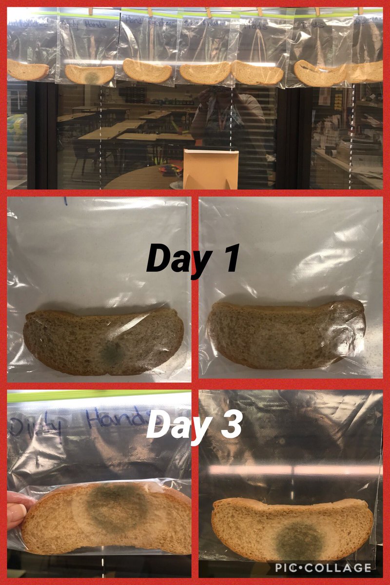 Changes are happening quickly now, but still only on 1 piece of bread - Dirty Hands. Can you spot it? #WashYourHands #CAwow #engageD64