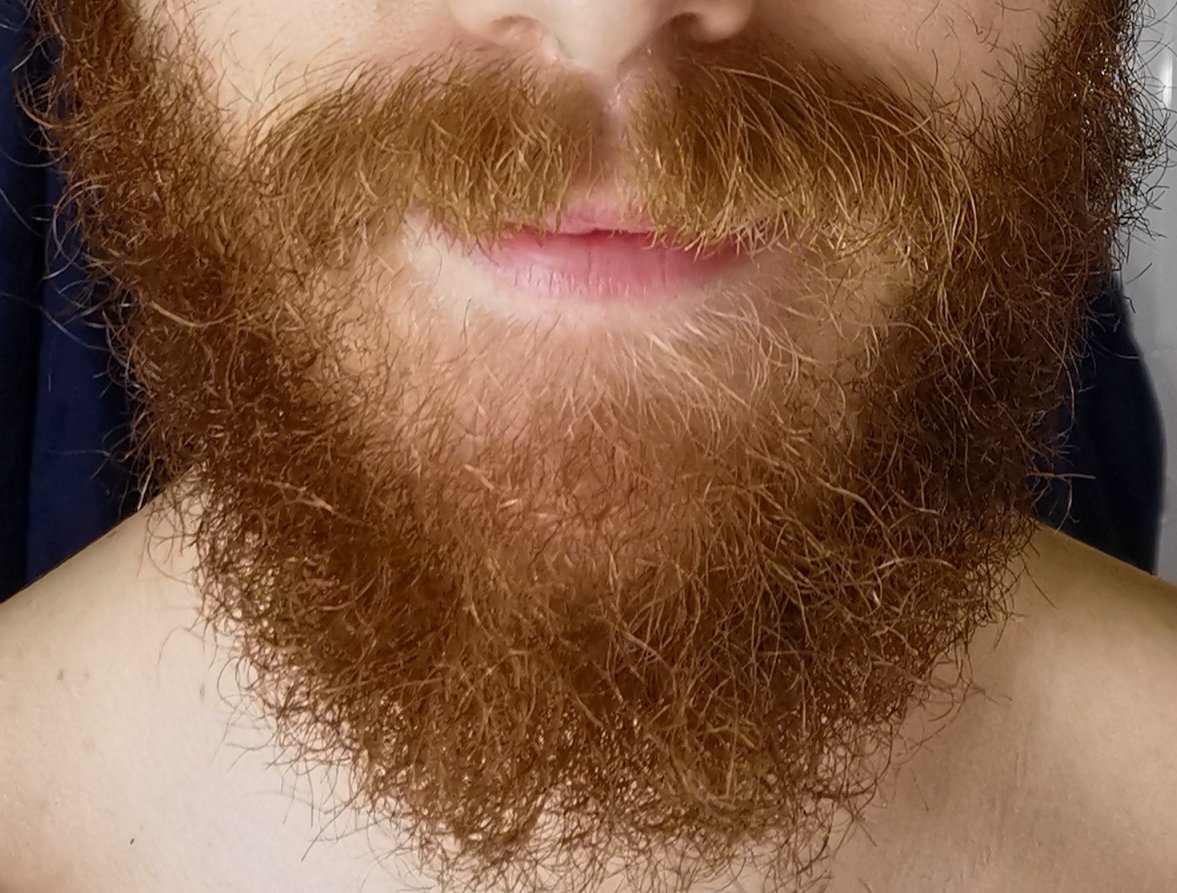 lordtower's tweet photo. Llevo 5 años con barba pero ha llegado el momento de disminuir las posibilidades de contagio al mínimo. Es guay el rollo hipster, pero más guays es que vivan nuestros abuelos.
Como enfermero os aliento a uniros al reto #beardout #fuerabarba. https://t.co/3DGr5wQUj1