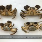 main image of this resource