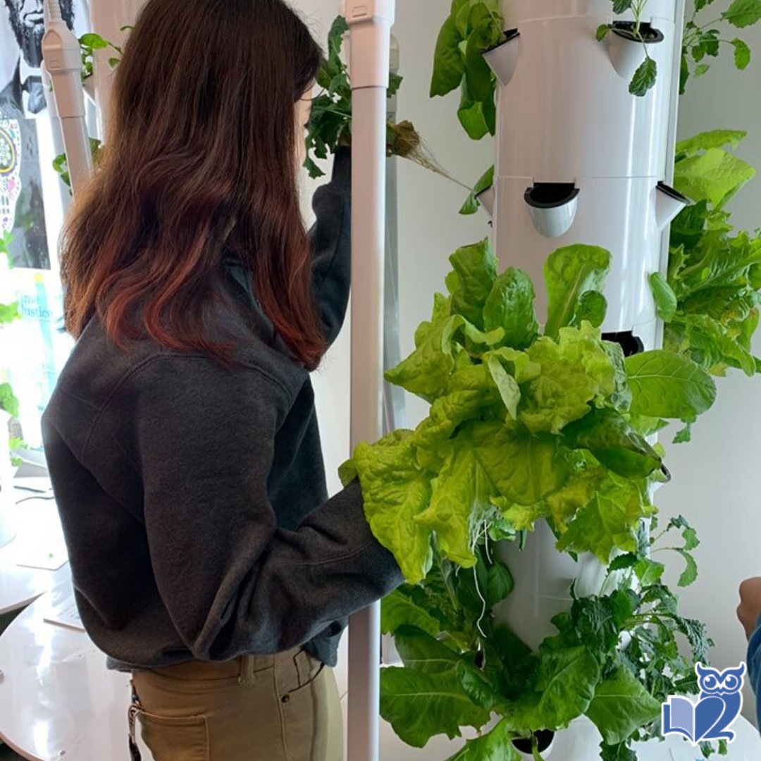 We love our hydroponics program! Our OCS Green Team keeps us moving forward and staying green.