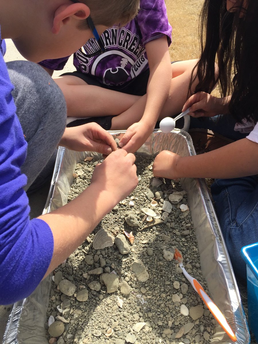 MrsMaynor2ndgr's tweet photo. Cancelled field trip, no problem! Create your own with your teammates @BuckhornCreekES #MaynorsMasters https://t.co/vDHC42yVon