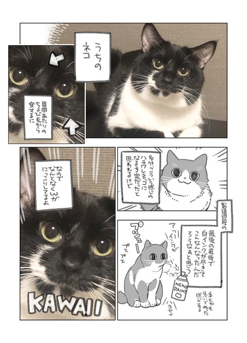 夜中に描いた漫画です 