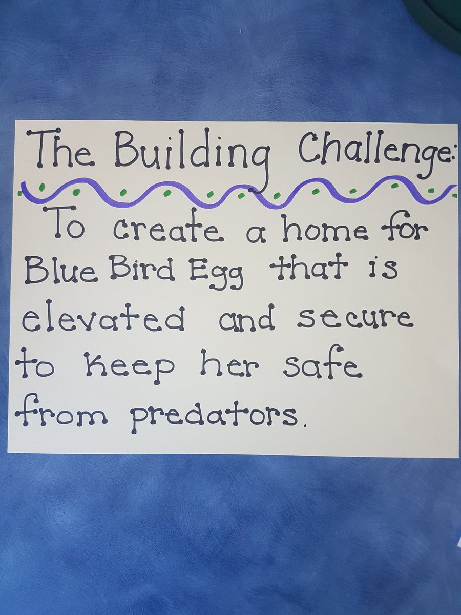 ReilkoffT's tweet photo. Grade 1 #objectsandmaterials challenge accepted.
Criteria: Is it elevated? Will it withstand the "shake test"? Will Baby Blue Bird be safe?
Oh and our K judges are seriously THEE cutest. #mpscpssd https://t.co/b0D7DcJ52Y