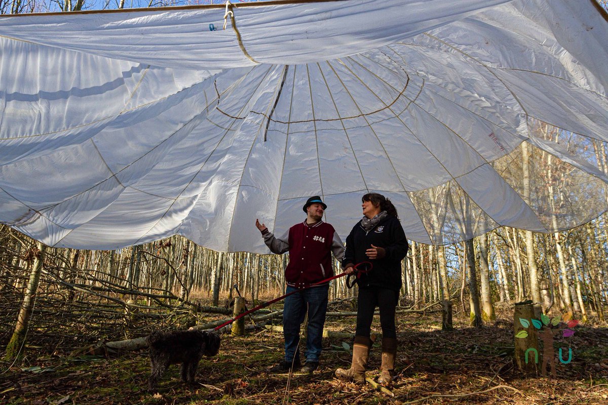NatureUnltdScot's tweet photo. On Social Prescribing Day, this is what we've been up to on our Natural Transitions programme #wellbeing #resilience #community #socialprescribing #natureconnection #creatingcommunity #buildingresilience #supportingwellbeing #scottishwoodlands #naturaltransitions https://t.co/bvypHVQ6wI