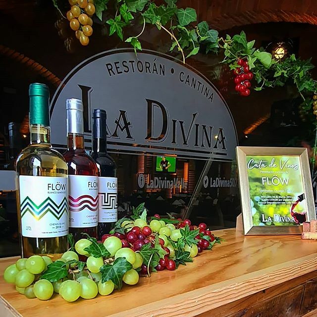 LaDivina507's tweet photo. Próximo miércoles será el lanzamiento exclusivo del vino Flöw, a cargo del sommelier Osvaldo Tinoco, en nuestra Sucirsal Valle, no te lo puedes perder. https://t.co/rXnCTl7xqy https://t.co/hCm9AwRTQZ