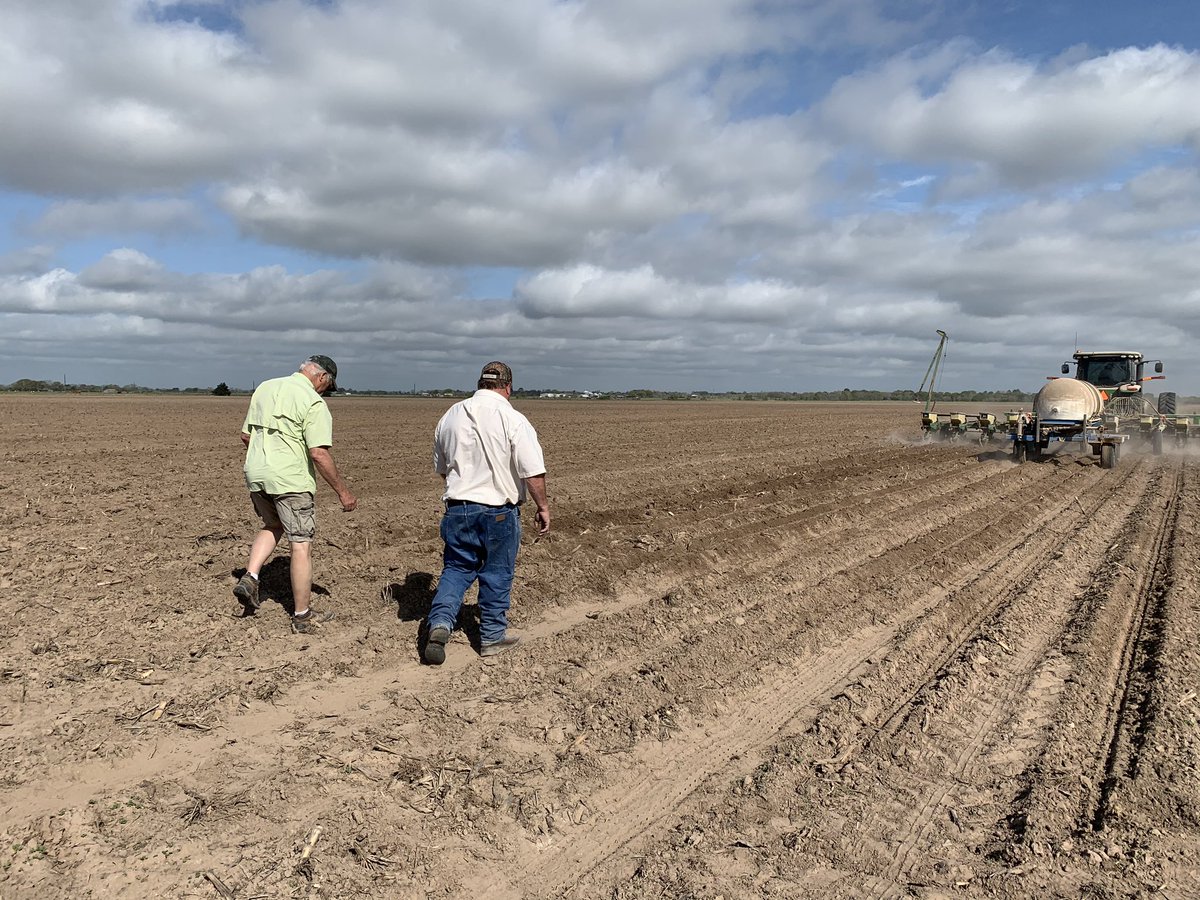 I can only imagine what these two were cussing and discussing. Thanks to Groschke Farms in Waller, TX and Pioneer Rep Richard Waligura for another blessed day! 🌾 🌽