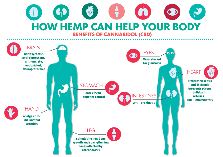 WanderBrandsUS's tweet image. Studies of the endogenous cannabinoid system have revealed that cannabinoids can act as neuromodulators for a wide assortment of human processes, including learning, appetite, and immune response. 

What do you think? 

#hemp #hempbased #hemphealth #healthyliving