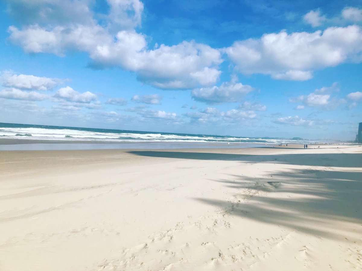 Searson Band tweet media