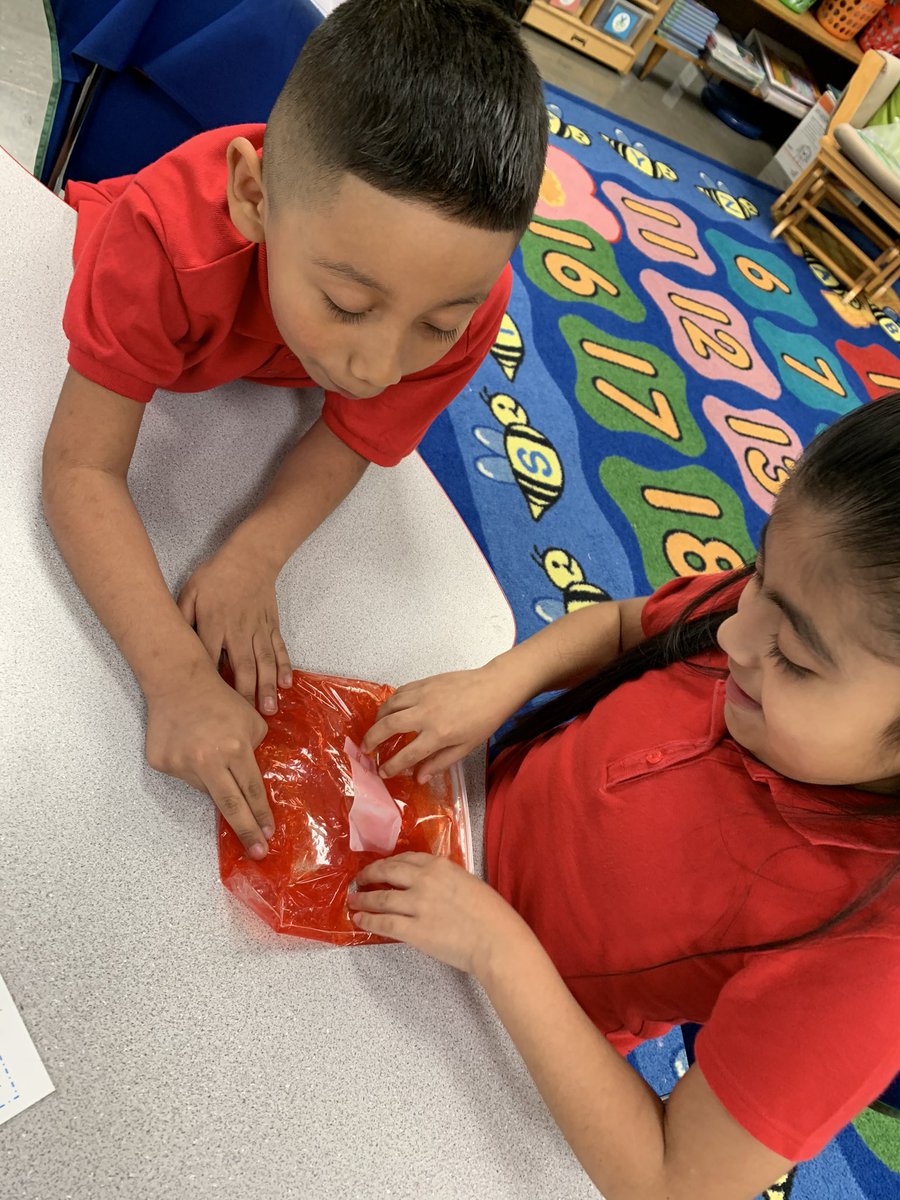 Kelsey Trate tweet media