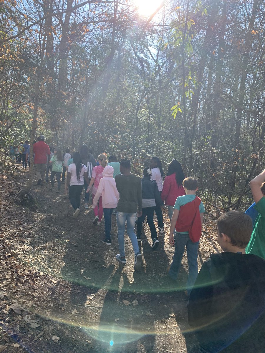 MrsAmandaWGE's tweet photo. Congaree National Park was a hit today! Beautiful weather made for great memories. The kids loved Golden Corral for lunch too! Thank you Ms. Carrie! @mrsdeaneWGE #weleadWGE https://t.co/urtp23qro7