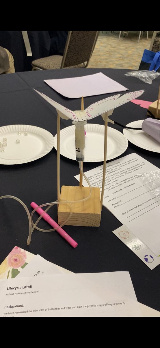 Julia Hoffman tweet media