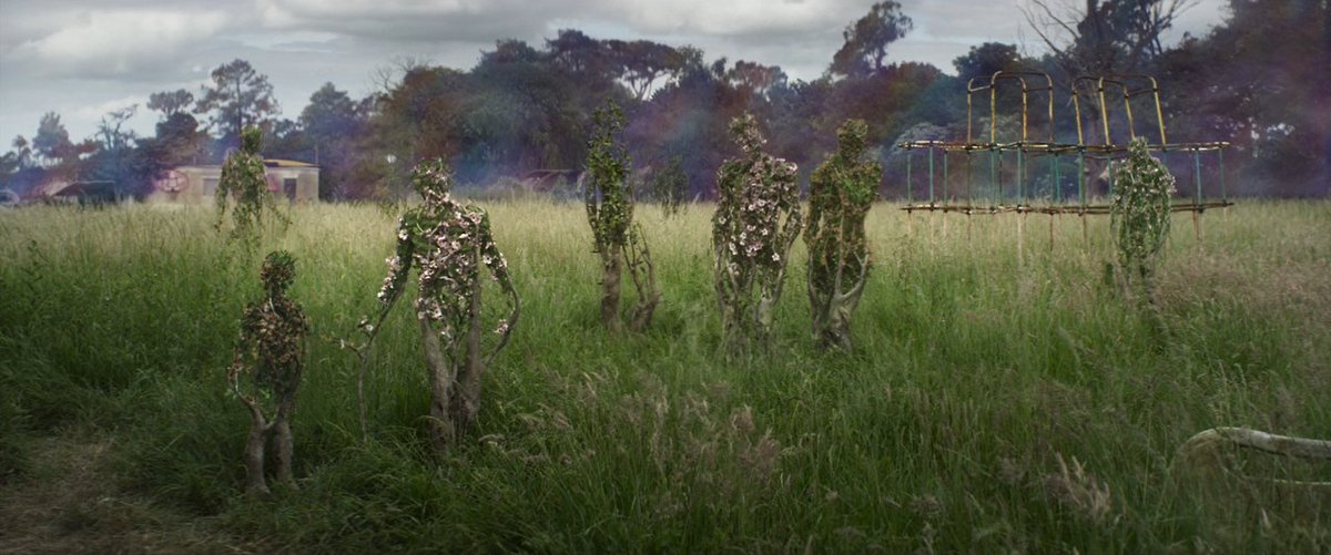 ANNIHILATION (2018)

Cinematography by Rob Hardy
Directed by Alex Garland
More shots in the database: ops.fyi/3cOzvIB