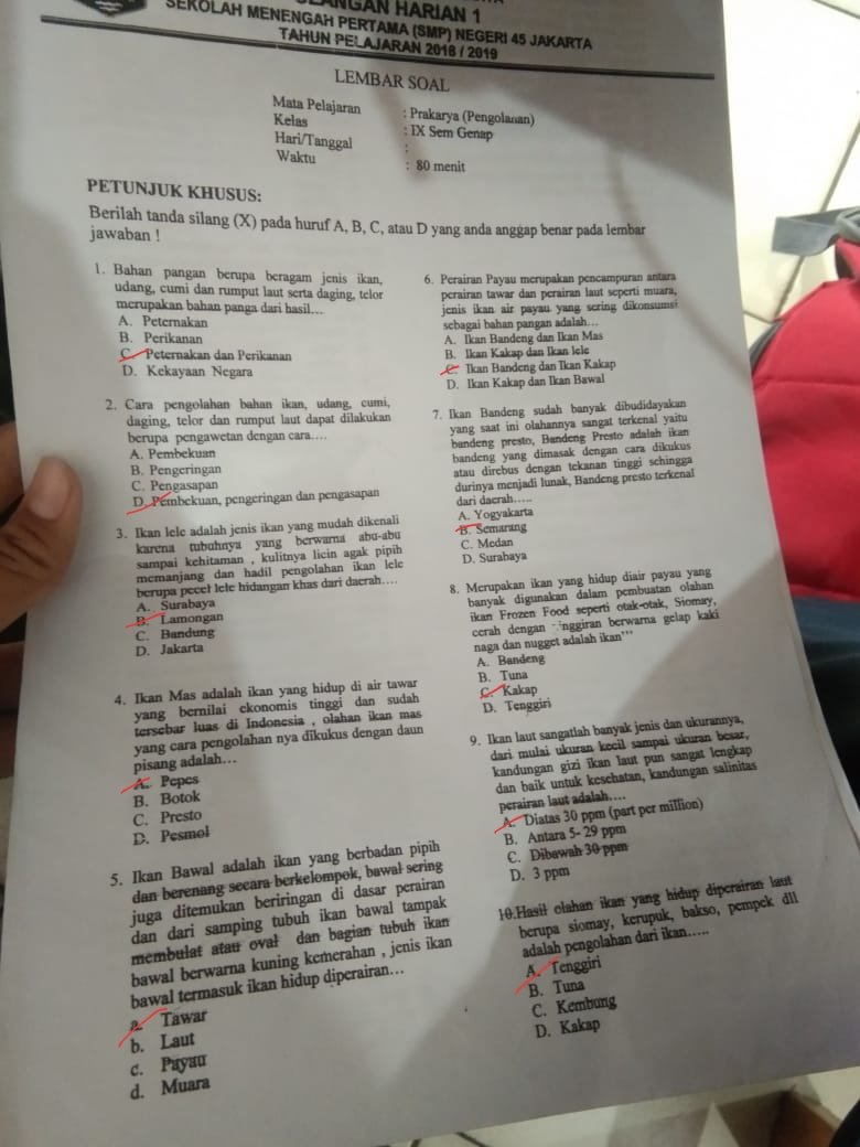 67+ Ikan Tenggiri Air Laut Atau Tawar HD Terbaik
