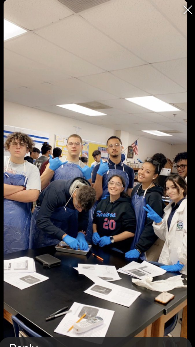 sweetbees4's tweet photo. Squid 🦑 dissection https://t.co/W8oaqg4zOg