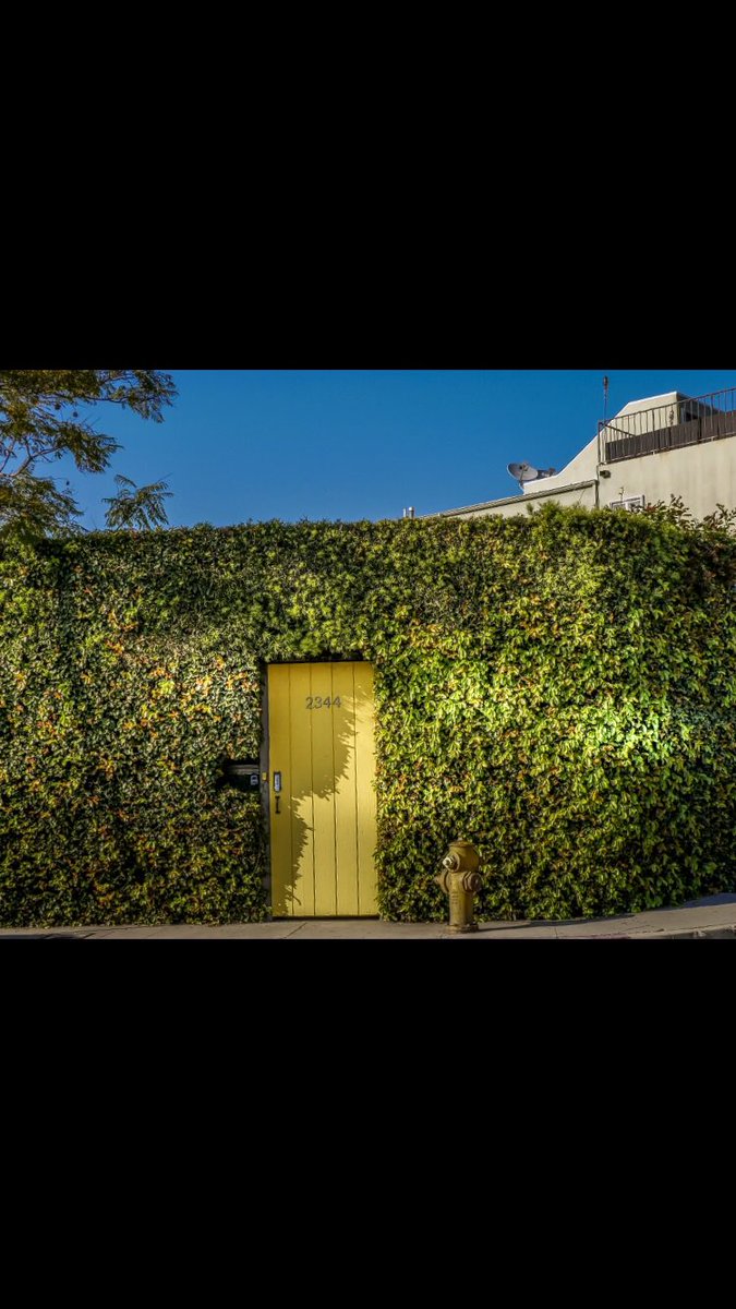 What is behind door number 1?...
.
.
.
.
  #vibegramz #earthshotz #outdooradventures #richardgreenla #letsgetlost #la #stayandwander #earthpix #instagood #outdoortonesn #venicebeach #venicebeachboardwalk #hedges #california #beautifulla
