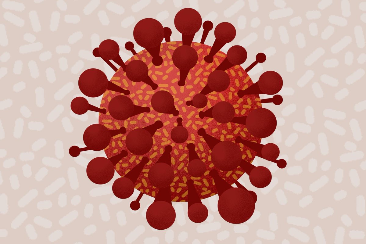 JosueCastelan1's tweet photo. I just ended corona virus https://t.co/gp7y149LxT
