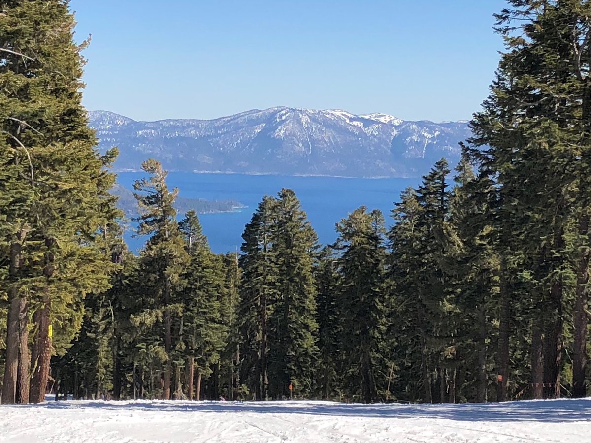 Tom Changnon tweet media