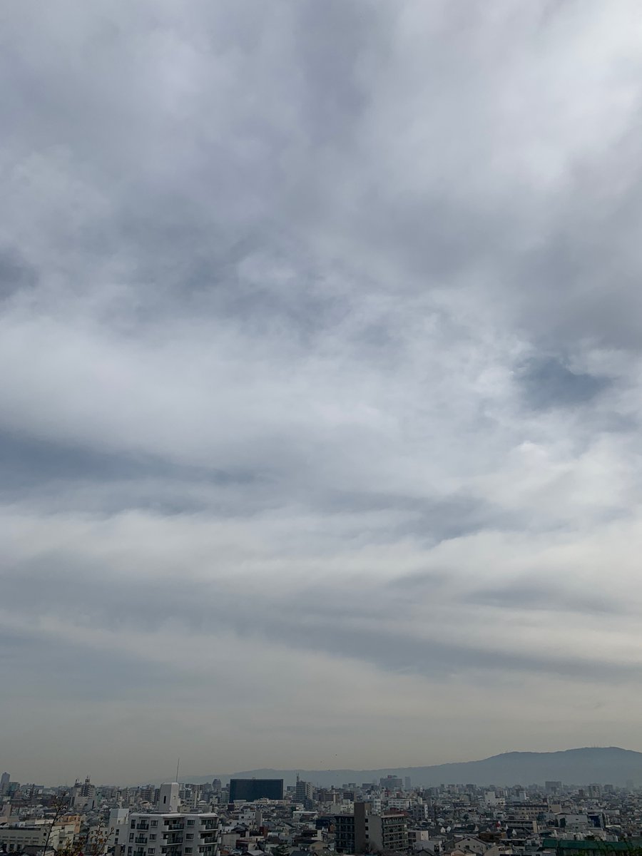 Ikuno Times 生野区役所 Twitterissa おはようございます 今日はいつもと角度を変えて 北東の空をお届けします 天気は晴れ 洗濯物もよく乾きそうです 花粉が多いみたいなので アレルギーの方は注意してくださいね 生野区 今日の空
