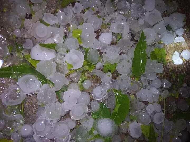 maasoom1999's tweet photo. प्रकृति का कहर पूरे पूर्वाचल में आँधी तूफान के साथ ओले की मार से किसानों की सारी फसल बर्बाद हो गई दुखद ईश्वर रक्षा करे 🙏

#पूर्वांचल https://t.co/fjXVDkUiu4