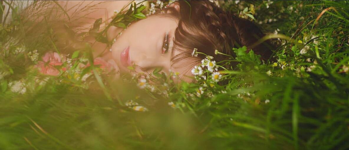 bestofdara's tweet photo. it's been a year since the flowers bloomed & this beautiful spring came out ♡ #OneYearWithSpring https://t.co/fPABMGbbMU