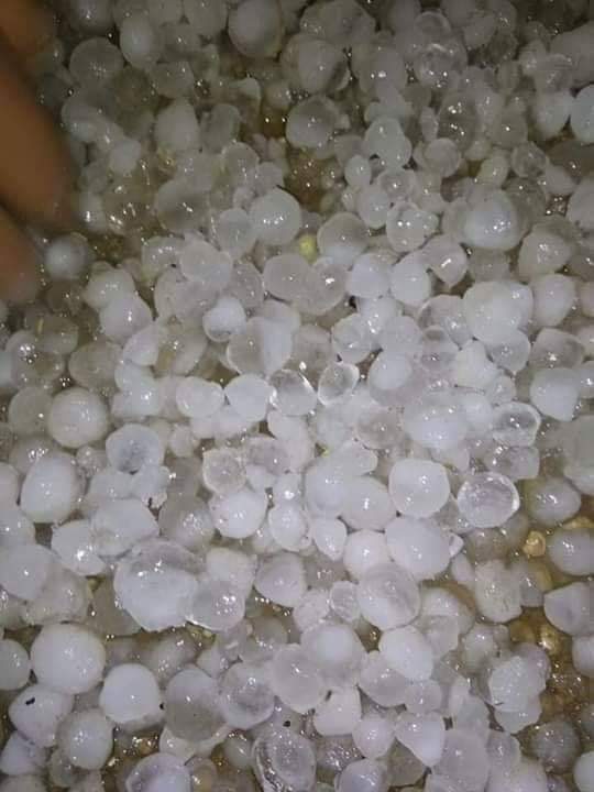 maasoom1999's tweet photo. प्रकृति का कहर पूरे पूर्वाचल में आँधी तूफान के साथ ओले की मार से किसानों की सारी फसल बर्बाद हो गई दुखद ईश्वर रक्षा करे 🙏

#पूर्वांचल https://t.co/fjXVDkUiu4