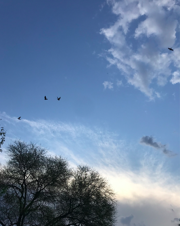 ritikasingh75's tweet photo. There are only two ways to deal with a crisis - either get up and take charge, or ask for help. 
No. I don't know the third one. 

#RSReflects #mytwocents #lifeissuch #LifeLessons #lifehack #sunrise #abouttodaymorning https://t.co/kO2qcLR4nJ